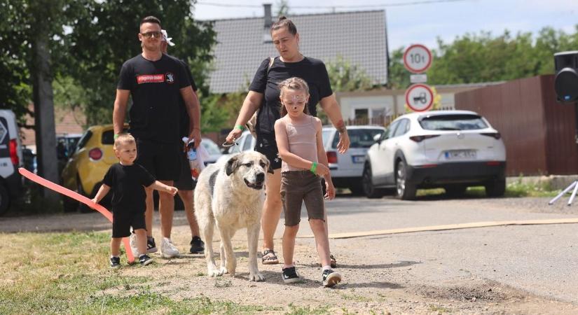 Mesevilág költözött az ongai menhelyre: habfürdő, kutyás élmények és pónik - képekkel