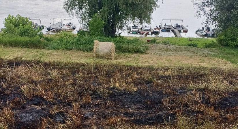 Riadalom: tűz ütött ki a mohácsi Duna-parton, 100 négyzetméteren égett a töltés (FOTÓK)