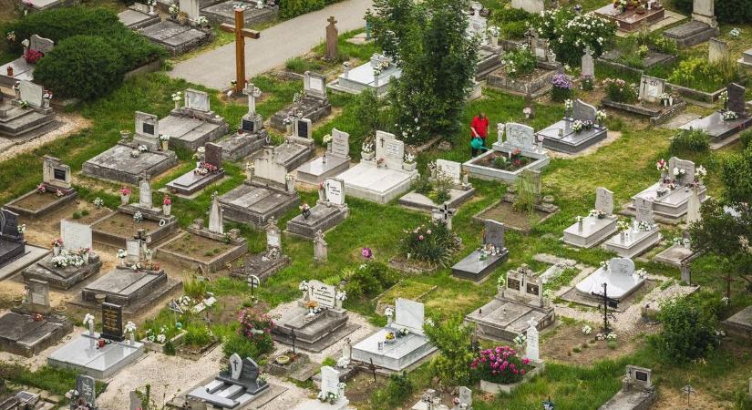 Hát már semmi sem szent? Elhunyt fiának visz virágot az édesanyja az egri temetőbe, de szinte azonnal lába kél