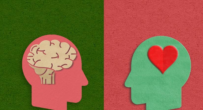 Ezt csak a kimagasló érzelmi intelligenciával rendelkező emberek fogják megérteni: rájuk igazak ezek az állítások