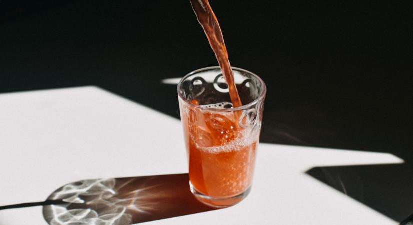 6 fermentált ital, ami brutális hatással van az egészségedre