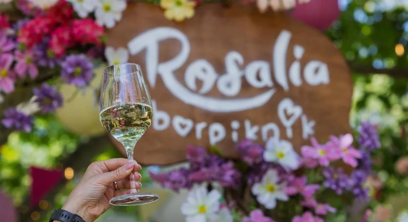Húszezren koccintottak a nyárra a Rosalia Borpikniken