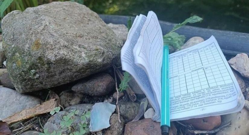 Horogra akadt a varázstollal bűvészkedő horgász