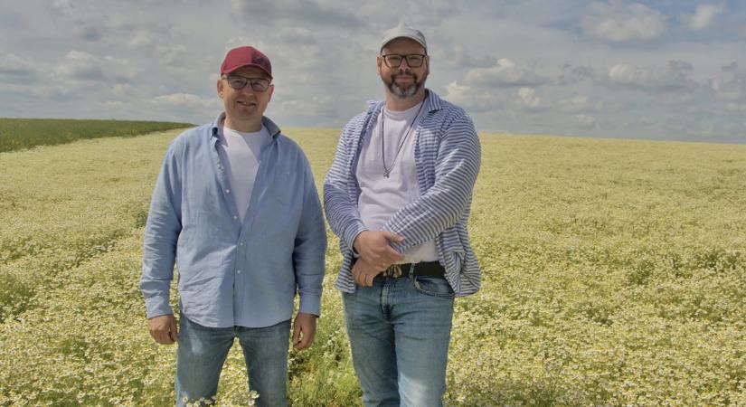 Kevesen ismerik, pedig Nógrádban készül a világ egyik legdrágább illóolaja – a Lush is innen vásárol