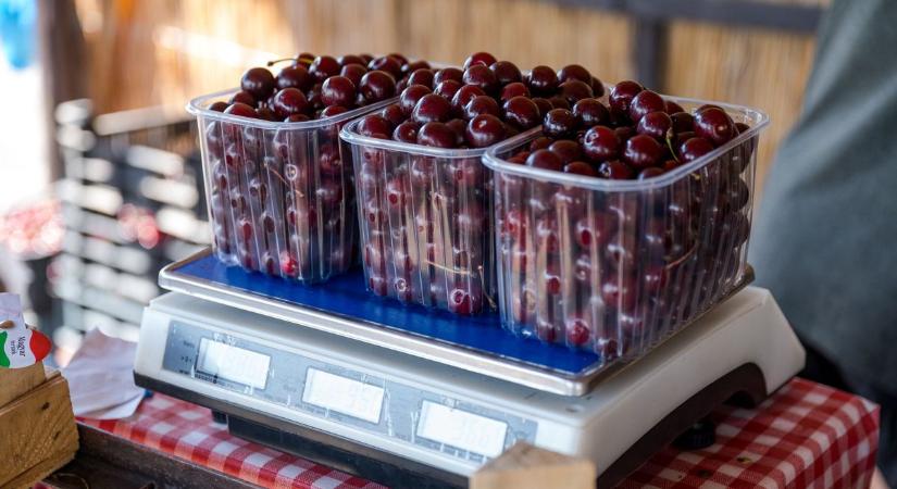 Beérik a múlt, mint a nagykörűi cseresznye – minden szemben egy történet él