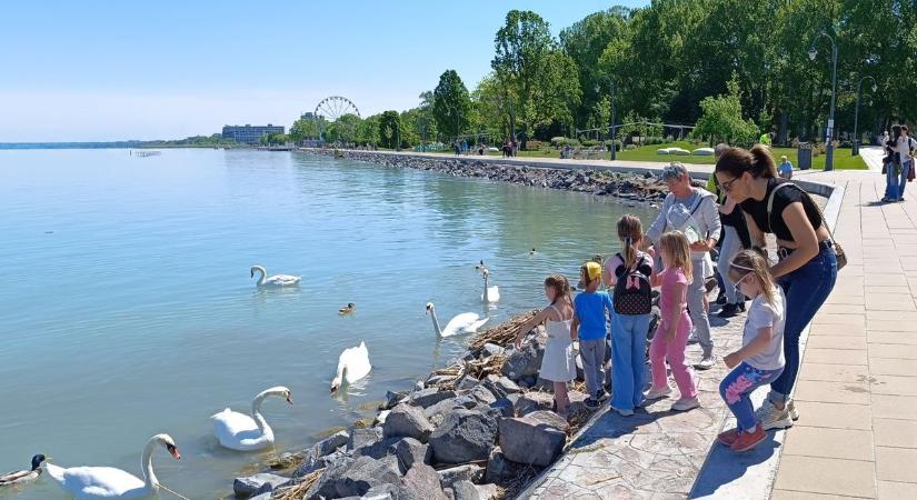Komoly felháborodásnak adtak hangot az olvasók – ezen a balatoni sétányon tiltott a kutya, a kerékpár és a roller