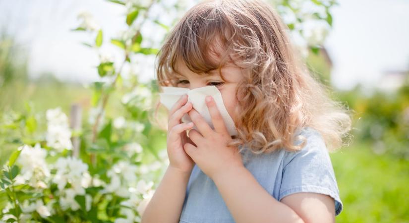 Így ismerd fel a különbséget a gyermekednél sima megfázás és a pollenallergia között