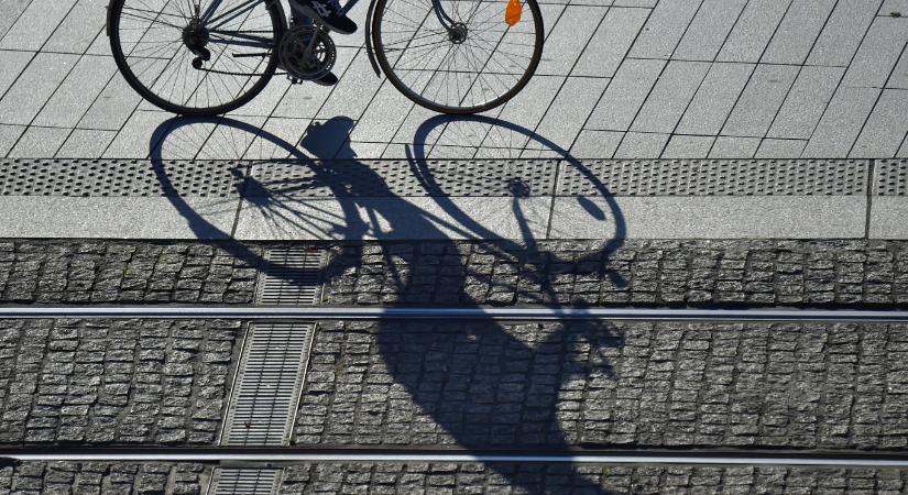 Pucér bringást fogtak a rendőrök Csepelen