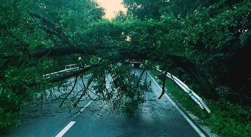 Veszélyes alagút lett a bakonyi híd fölött, a tűzoltókat kellett riasztani (helyszíni fotó)