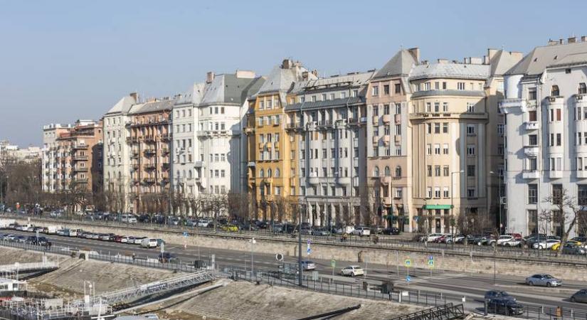 Őz rohangál a XIII. kerületben: videó is készült róla