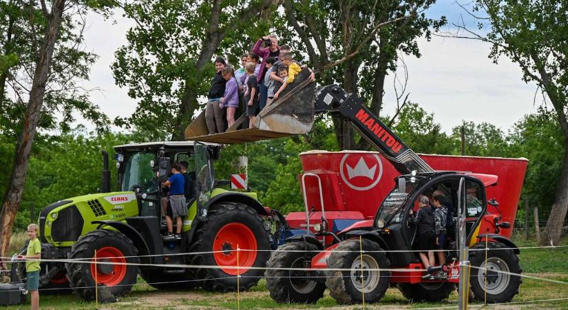 Marha jó nap! A tejágazat nehézségein a gyerekek (is) segíthetnek…