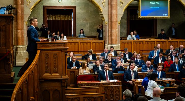 Magyar Péter: Arra adtak utasítást, hogy a hatóságok dobják ki a magyar menekülteket, hogy oda önök Brüsszel akarata szerint 500 migránst tudjanak behozni