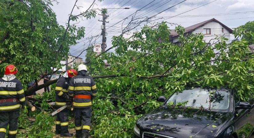 Viharkárok és medveveszély: sűrű hétvégéjük volt a Maros megyei tűzoltóknak