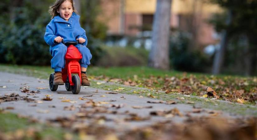 Nyuszimotorok körül dagad a botrány: hűtlen kezelés miatt indult eljárás