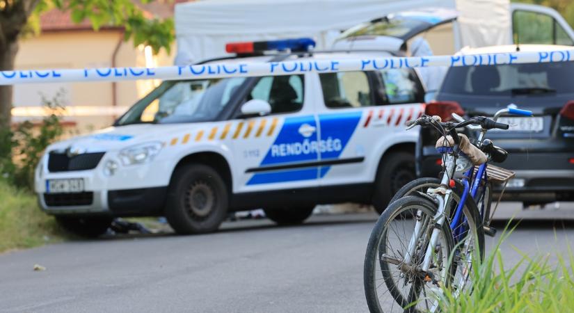 Kútban lelte halálát egy nő a Balatonnál, amikor beleesett sövénynyírás közben