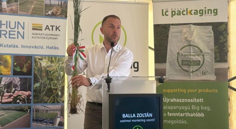 Ötven év martonvásári búzanemesítés – tudomány, piac és aszály között formálódó jövő