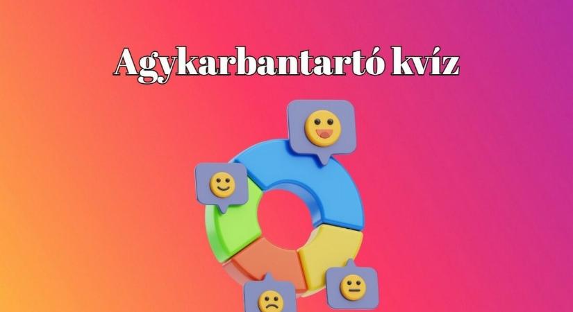 Agykarbantartó - Szellemi torna készült a mindennapokra