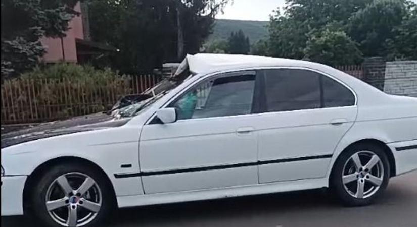 Vérfoltos póló maradt hátra a szarvasgázolás után, a sofőrnek nyoma veszett