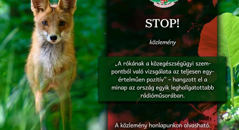 Kiállt a kotorékozás és a rókacsapdák mellett az Országos Magyar Vadászkamara