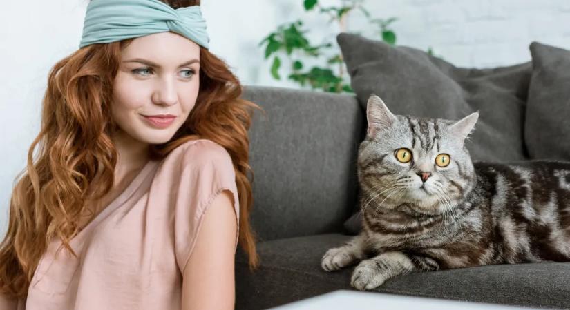 A te cicád is folyton a kanapét vakargatja? Íme a legjobb bútormentő tipp macskakaparás ellen