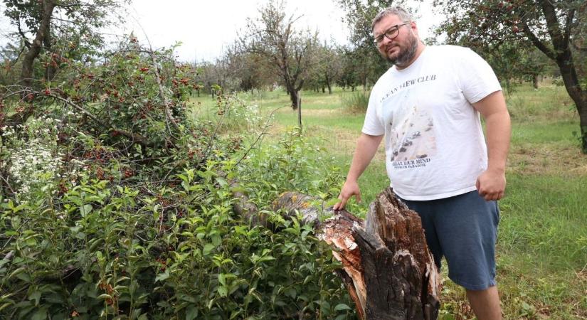 Aratás előtt elverte a jég a termést Tolna déli felében (galériavideó)