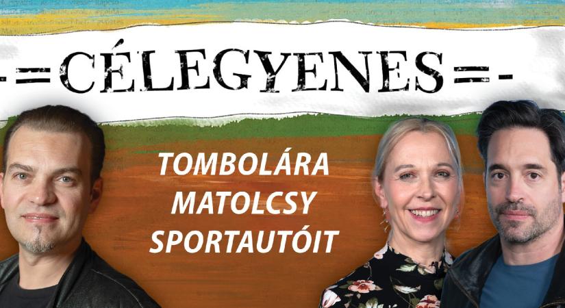 Vissza lehet venni a Mészáros-vagyon egyik ékkövét – Célegyenes