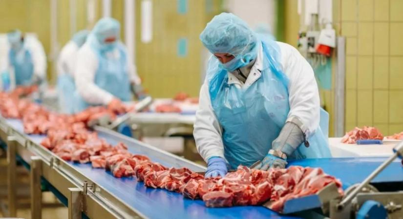 Több pénz folyt be, mégis kevesebb maradt a kasszában: érdekes évet zárt a Csányi család húsipari cége