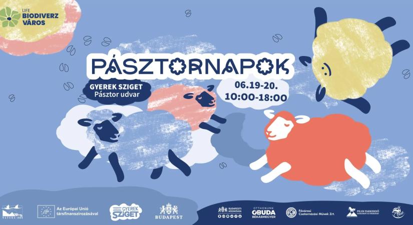 Pásztornapok a Óbudai szigeten – természetvédelem élménnyel