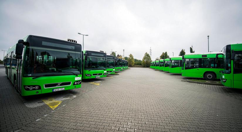 Nagy fordulat jöhet a pécsi buszbotrányban: megszólalt Hadházy Ákos