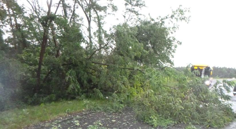 Árokba borult autókhoz, kidőlt fákhoz, lángoló bálákhoz vonultak legtöbbször a somogyi tűzoltók