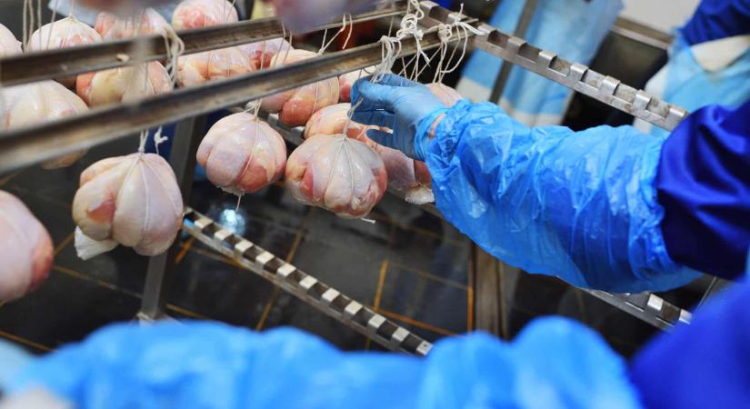 Újabb botrány a magyar húsipari cégcsoport háza táján – Magyar Péter is kritikát fogalmazott meg