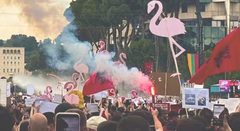 Flamingó-forradalom: ha Albániába mész nyaralni, ezt mindenképpen olvasd el!