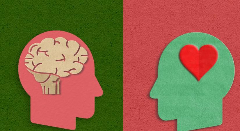 Logikus zseni vagy kreatív lángelme? Tesztünkből kiderül, melyik intelligencia jellemző rád