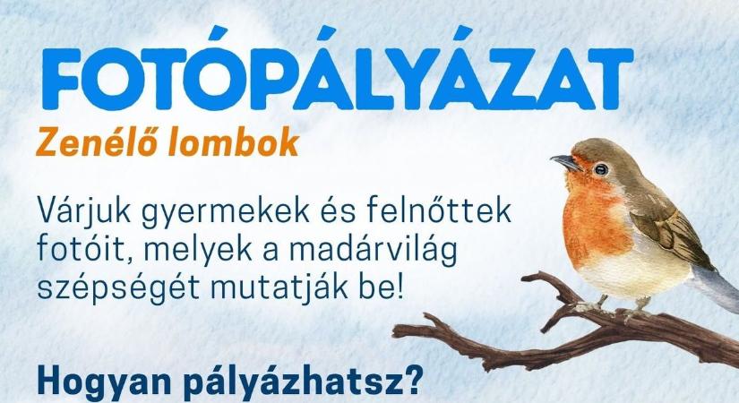 Ne tétlenkedj a vakáció alatt, fotózz madarakat! Kiállítás és nyereményjáték