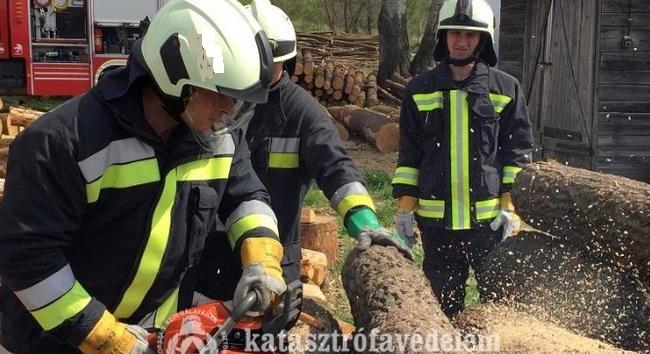 Megdőlt fák miatt vonultak a vásárhelyi tűzoltók hétfőn a Gyulai utcába