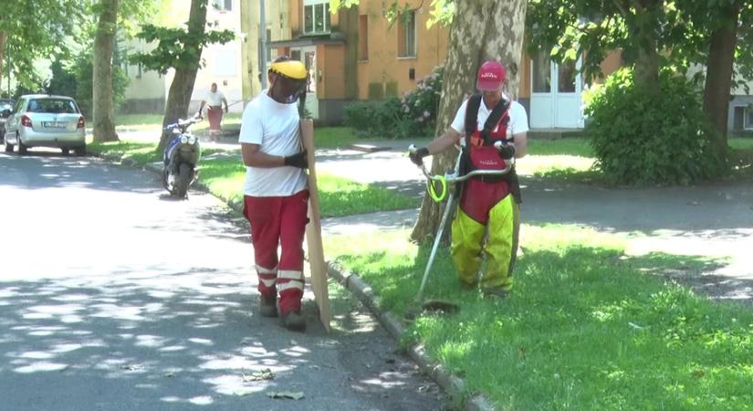 Egyszerre nem megy – fűnyírás Kanizsán