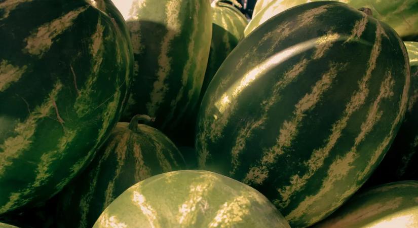 Egyre közelebb a magyar dinnyeszezon, erre készülhetnek a vásárlók