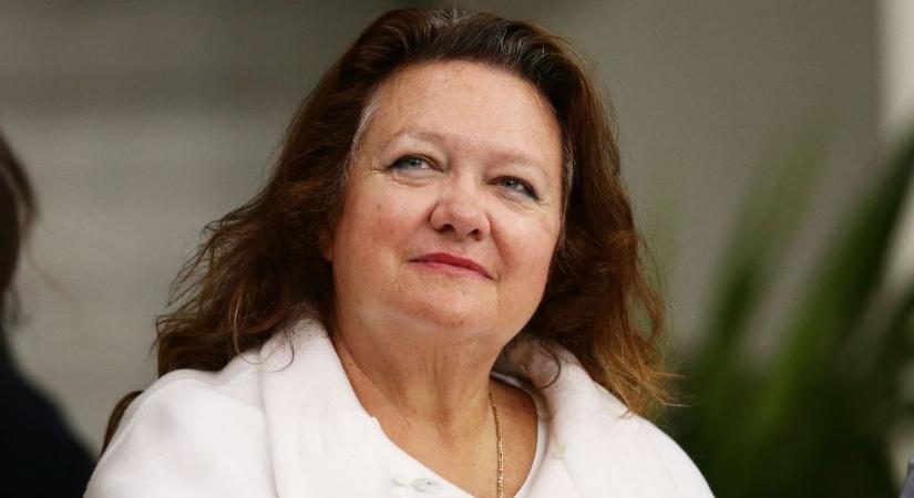 Okkal zsákolta a SpaceX részvényeit az ausztrál vasérc-lady, felvásárlót faragna Elon Muskból