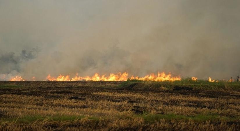 Pokoli tűz: több száz méter hosszan tomboltak a lángok Kunszentmárton külterületen