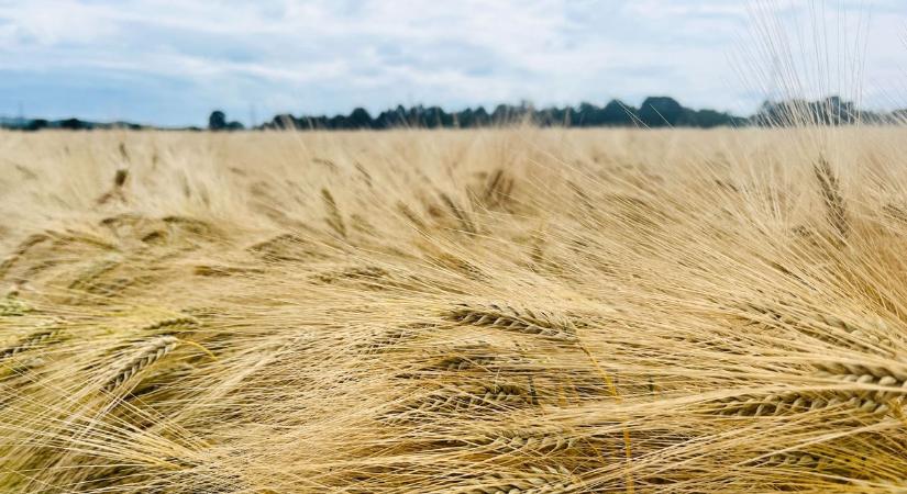 Hamarosan berobban a nyár, vagy a riasztások velünk maradnak? Kiderült, mi vár ránk