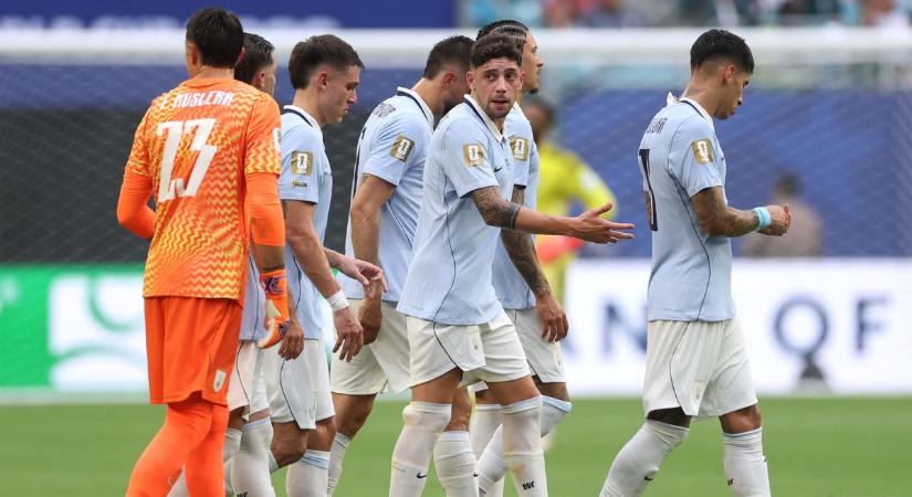 Meglepő videó terjed a vb-ről: kutyákkal vizsgálták át az uruguayi sztárok csomagjait (VIDEÓ)