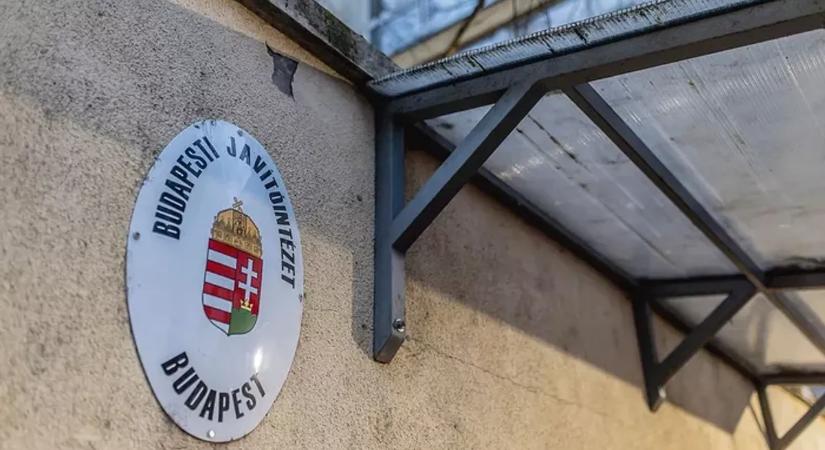 Exkluzív interjút adott a Szőlő utcai botrány koronatanúja - kövesse élőben az Origón