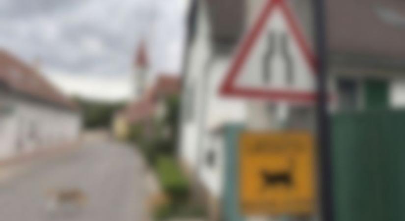 Új jelzőtábla került ki a Balatonnál a sorozatos gázolások miatt, így néz ki (fotók  videó)