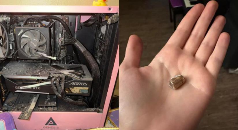 A számítógép mentette meg egy gamer lány életét, miután rálőtt a szomszéd kutya