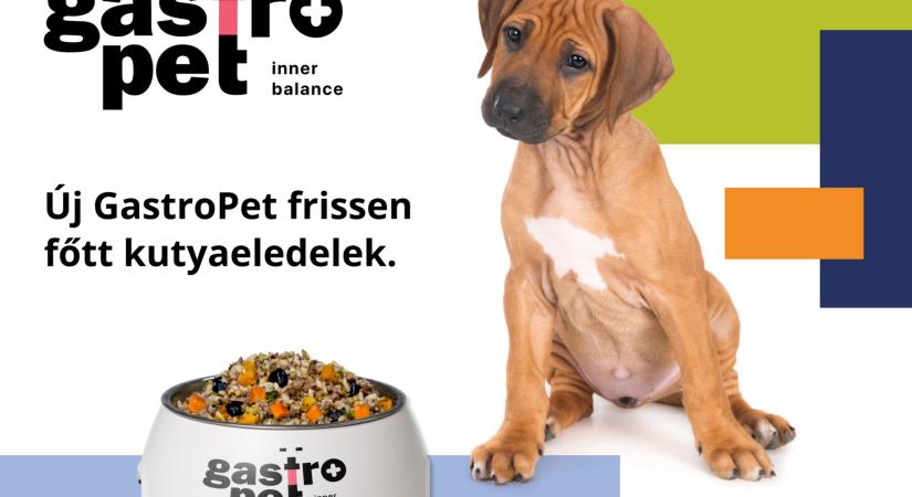 Új fejezet a tudatos kutyatáplálásban: megérkezett a GastroPet