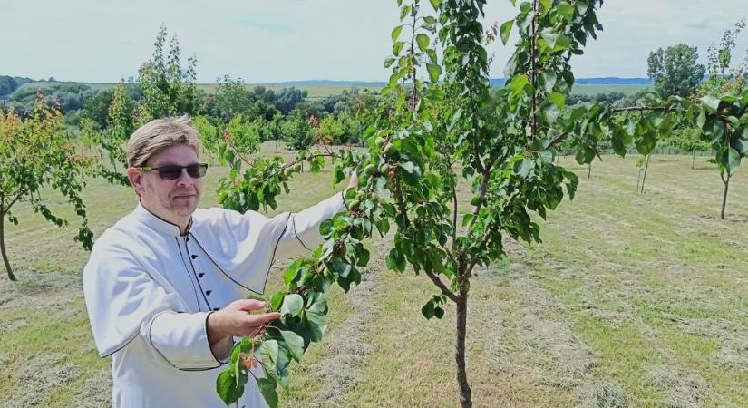 Egy hektárnyi remény: így mentik meg a régi magyar gyümölcsfajtákat