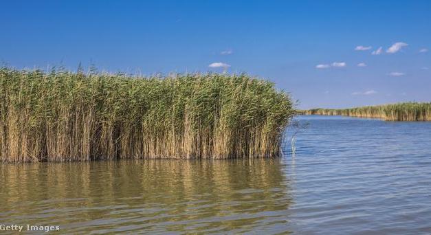 Kritikus a helyzet a Velencei-tónál: megdőlhet a negatív rekord