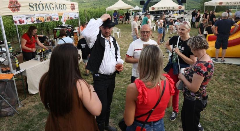 A Sió-menti Országos Halfőző Verseny Sióagárd legnagyobb, és egyik legrégebbi rendezvénye