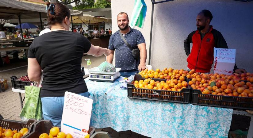 Az eper leérett, már van magyar sárgabarack, de a jégverés miatt nem várható áresés (galéria)