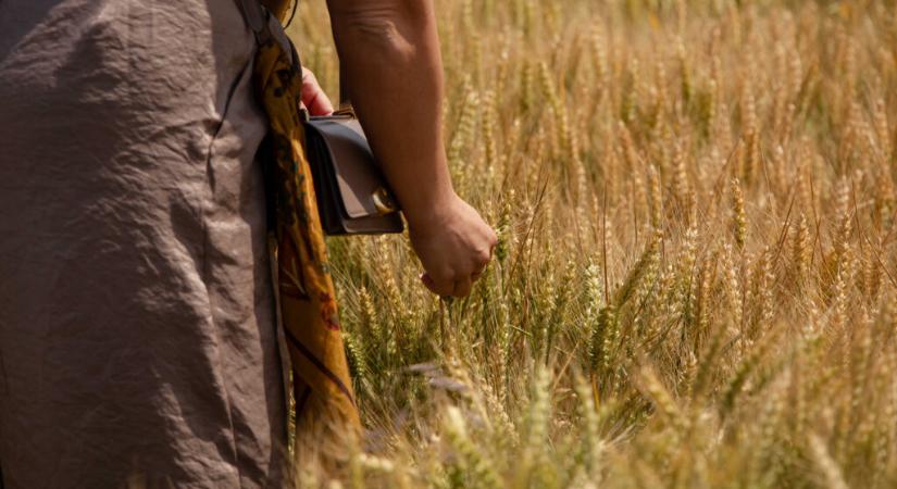20 év a magyar agrárium szolgálatában – Jubileumi évfordulót ünnepel az RAGT